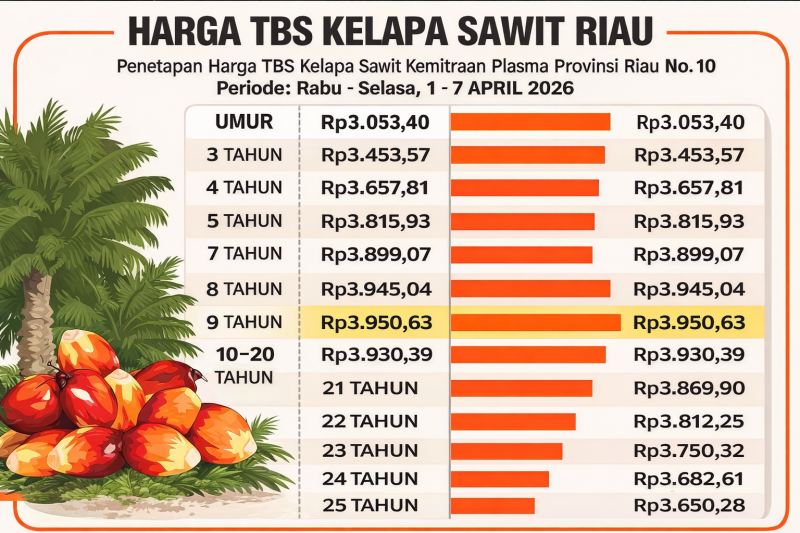 TBS Riau Tembus Rp3.950/Kg
